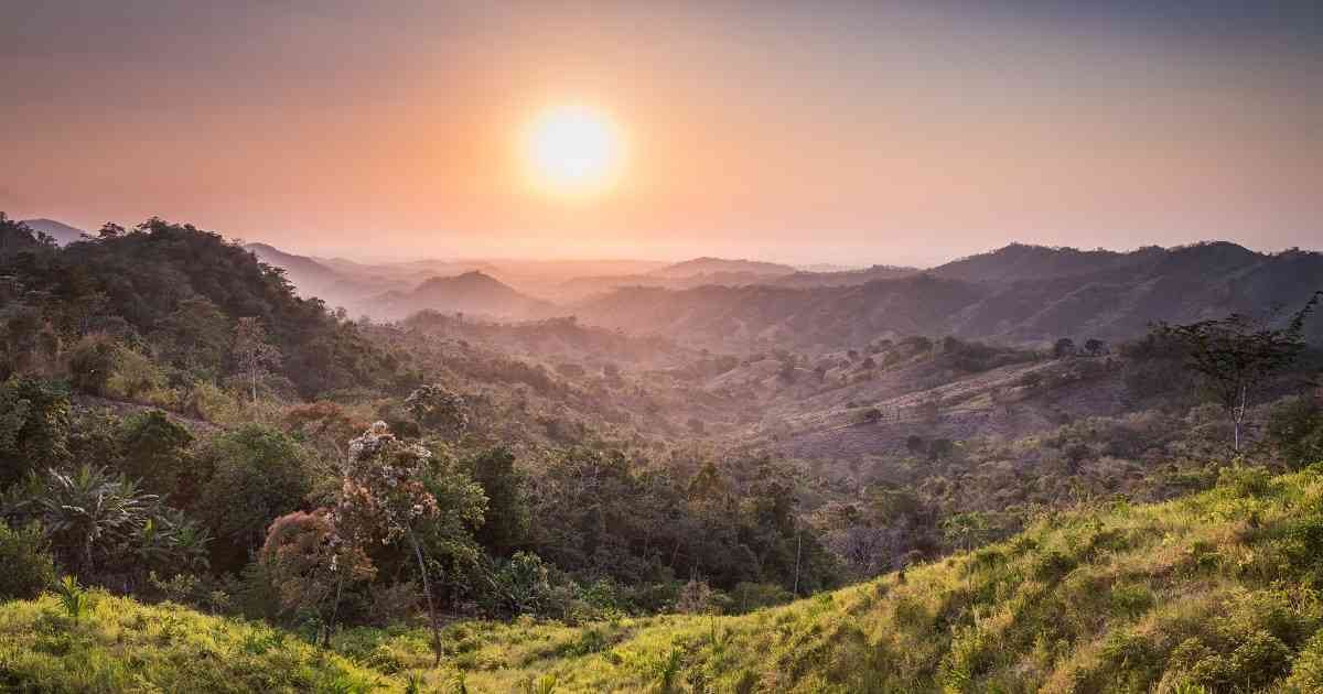 El bioma Bosque Seco Tropical representa cerca de un 42 % de los ecosistemas boscosos tropicales del mundo. Foto: Mauricio Enriquez/ PNUD