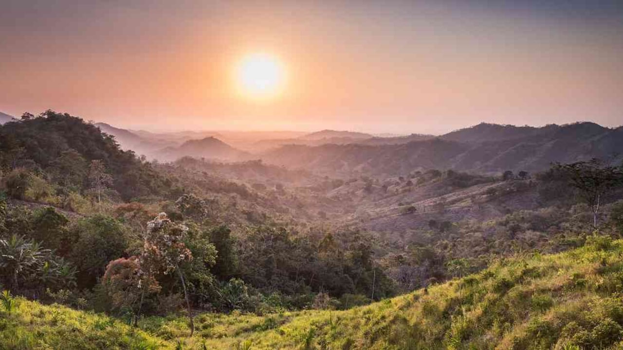 El bioma Bosque Seco Tropical representa cerca de un 42 % de los ecosistemas boscosos tropicales del mundo. Foto: Mauricio Enriquez/ PNUD