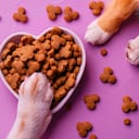 Los perros y gatos tienen comida y dietas especializadas para cuidar su salud y bienestar.