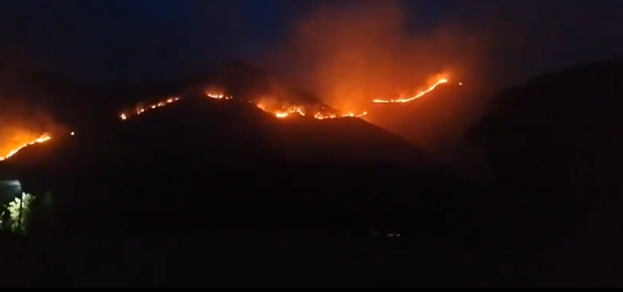 Grave emergencia en Tolima: incendio en Coello afectó 50 hectáreas de cobertura vegetal