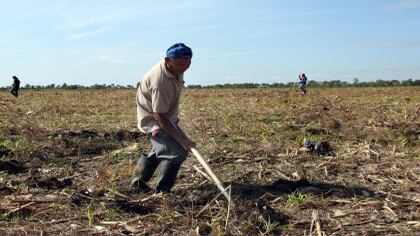 Los pilares olvidados de la tierra