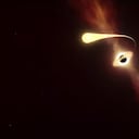 Observatorio Europeo Austral (ESO)