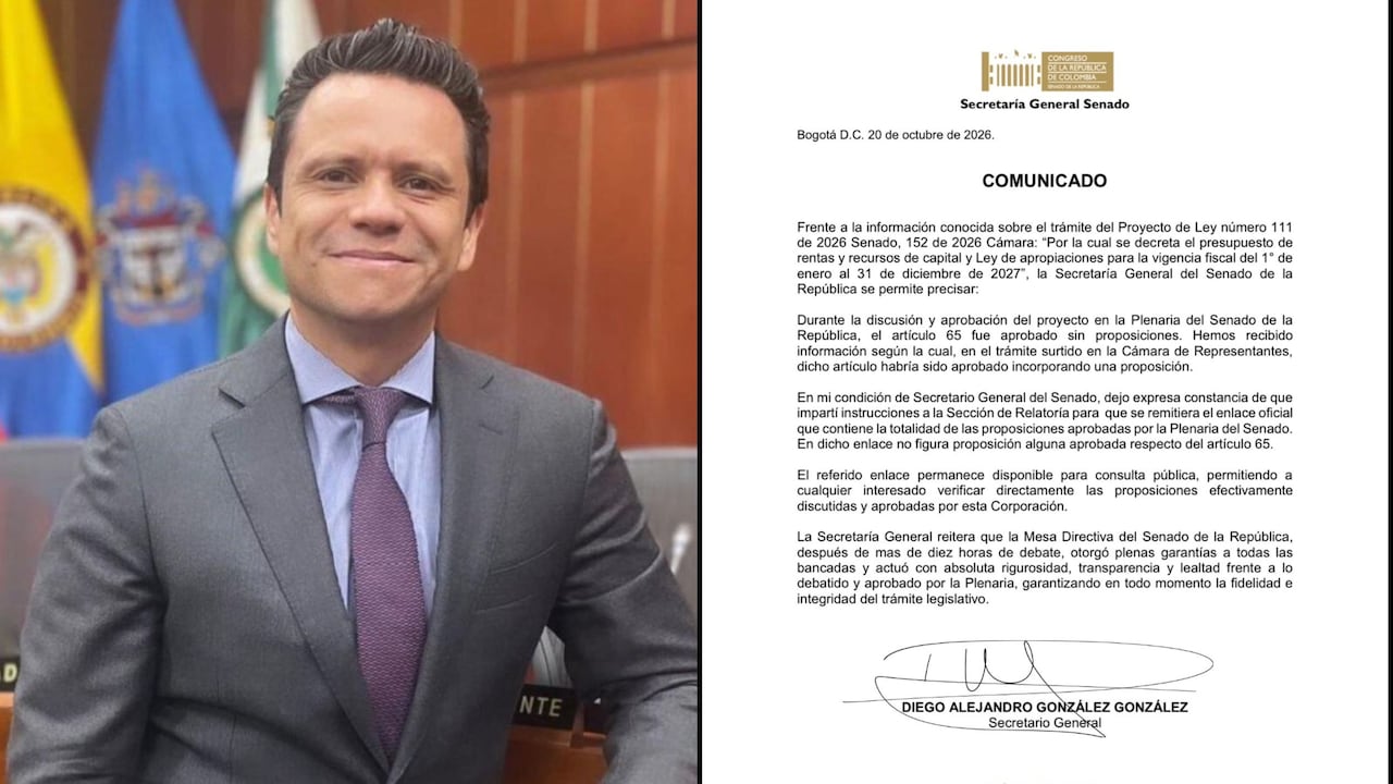 El secretario general del Senado, Diego González, confirmó diferencias en el artículo 65 que se votó en Cámara y el que se votó en Senado.