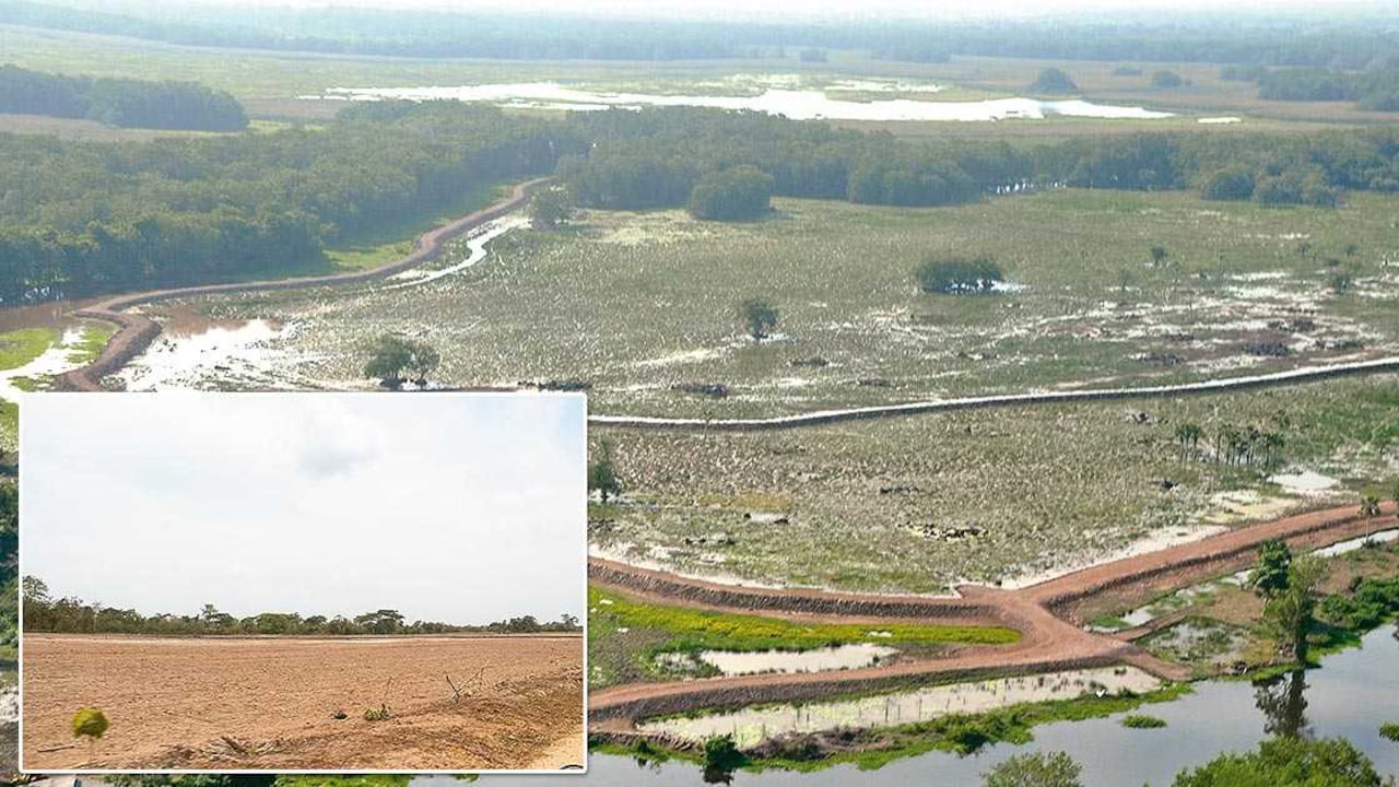 El uso indiscriminado de la Ciénaga ha provocado la reducción dramática de su nivel de agua.