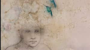 Misiá señora - Albalucía Ángel