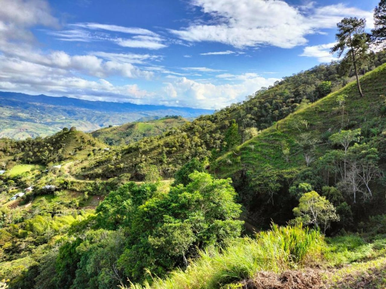 Versalles, Valle del Cauca