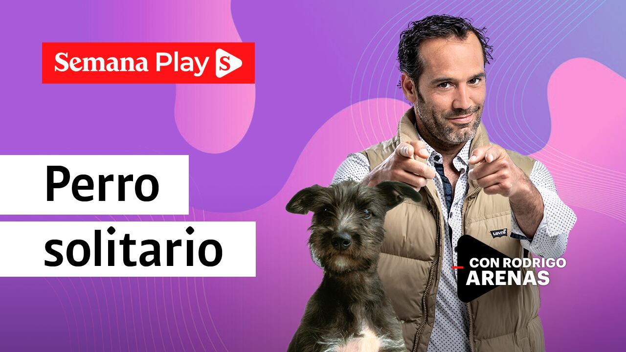 Perro solitario | Rodrigo Arenas en EduCANdo Manadas