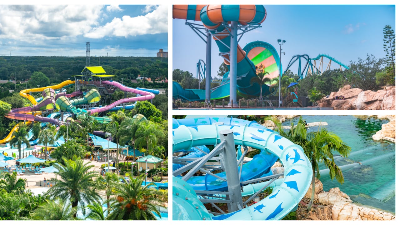 Aquatica Orlando.
