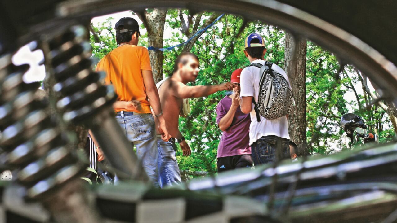 En los últimos años la tasa de homicidios de menores en Cali está disparada , en gran parte porque las 130 bandas y pandillas juveniles que hay en la ciudad están enfrentadas a muerte por el control del microtráfico y la extorsión. En lo corrido de 2014 han muerto 173 niños y jóvenes, la tasa más alta de todas las capitales del país.