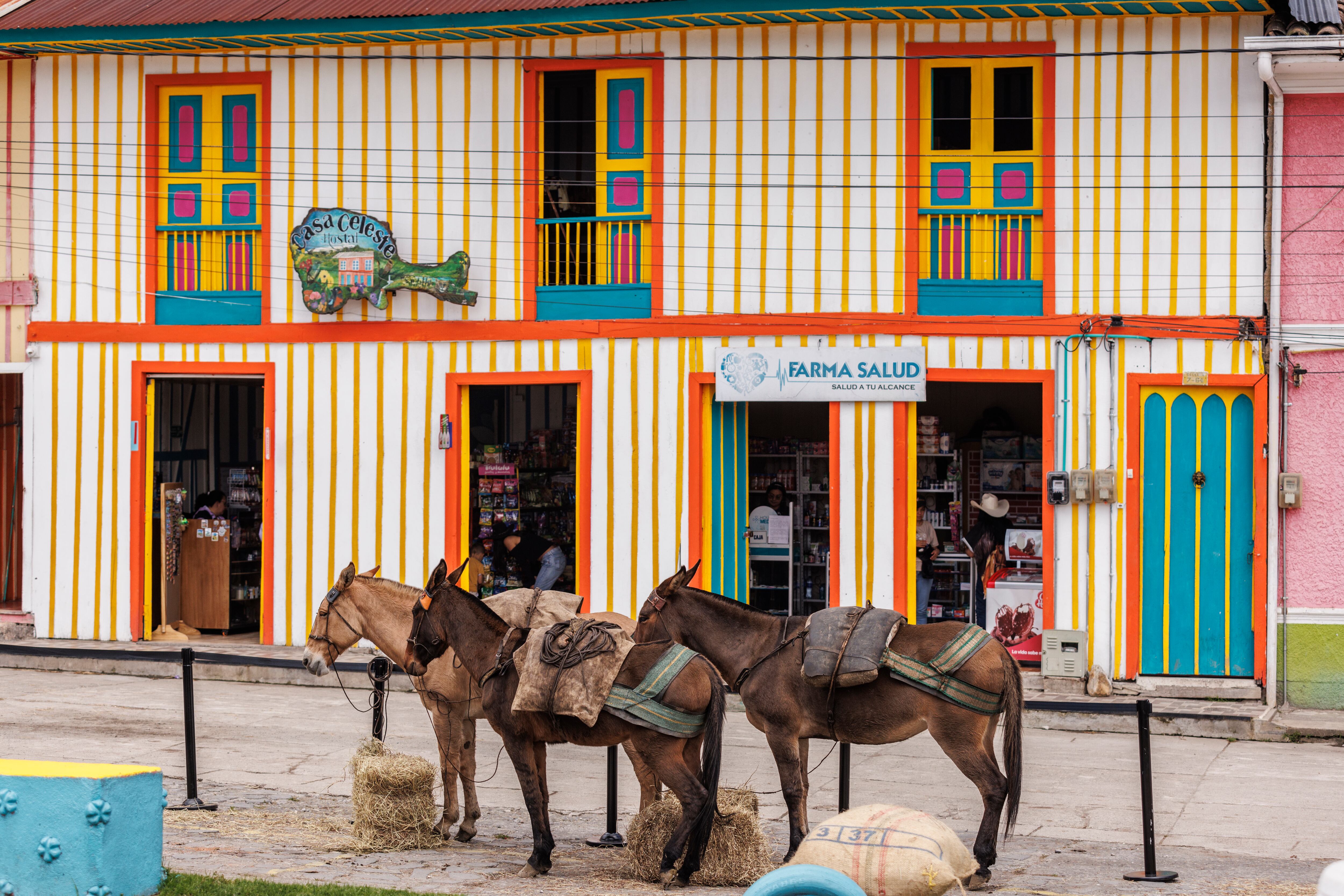 Durante el encuentro, delegaciones de Argentina, Chile, Perú, Bolivia, Ecuador y Colombia compartieron experiencias y modelos de conservación, en una agenda que combinó ciencia, políticas públicas y turismo regenerativo.