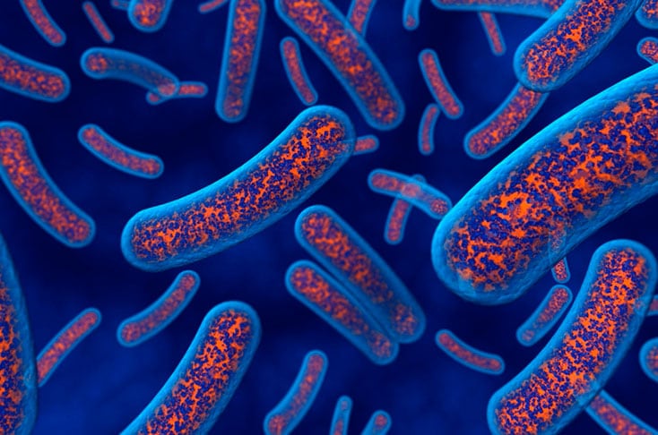 En la lista se pone de relieve especialmente la amenaza que suponen las bacterias gramnegativas resistentes a múltiples antibióticos.