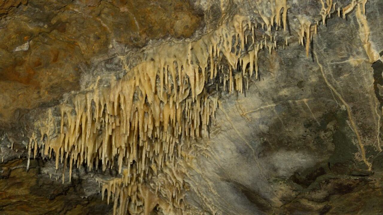 PNN Cueva de los Guácharos