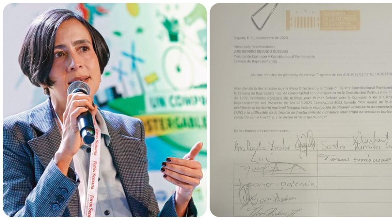 Susana Muhamad y la ponencia de archivo a su proyecto.