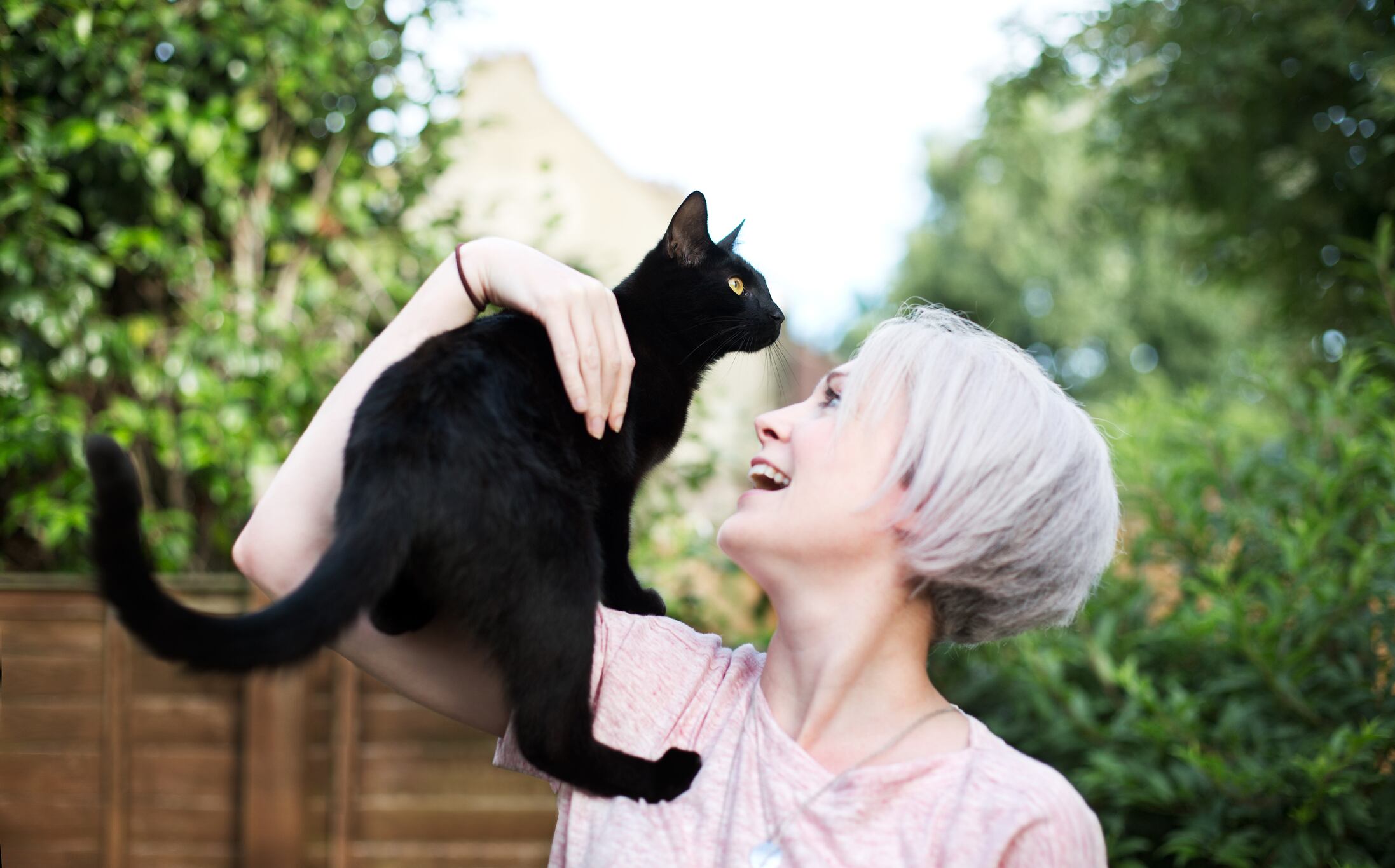 ¿Qué misterios acechan en los rincones de nuestras casas que solo los felinos pueden percibir? Investigadores han encontrado respuestas sorprendentes.