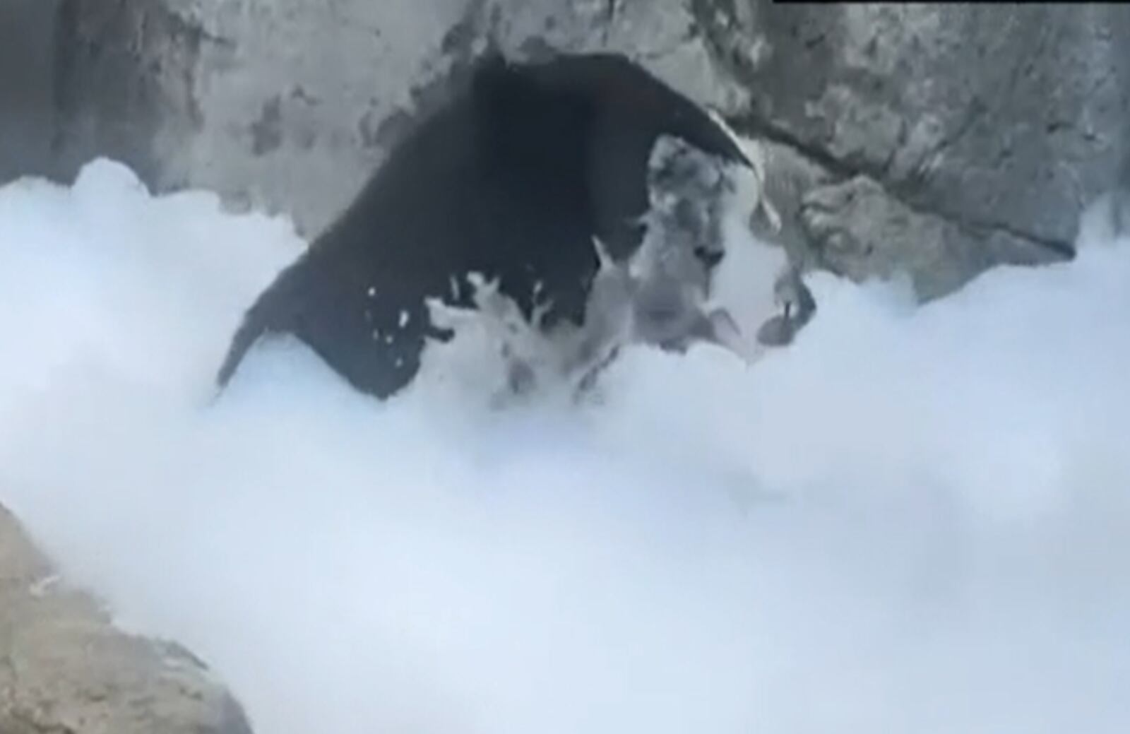 El curioso momento ha sido tendencia en las plataformas digitales.