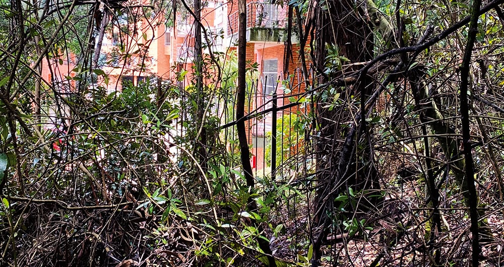 El francotirador logró con un disparo lo que sicarios no pudieron, ni siquiera descargando la totalidad de los proveedores. 