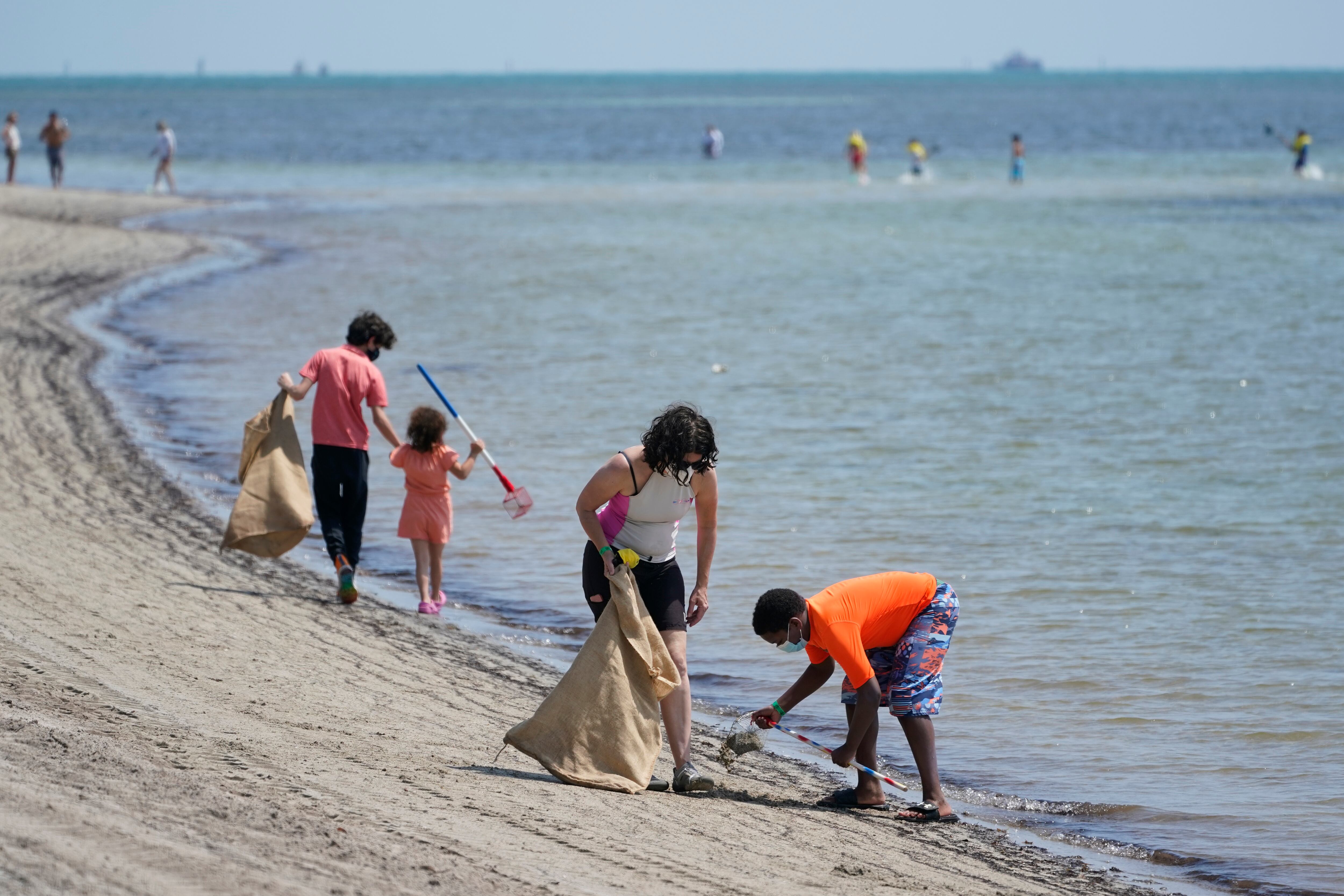 Residente de Florida creen que prueba de control de plagas es “terrorismo”