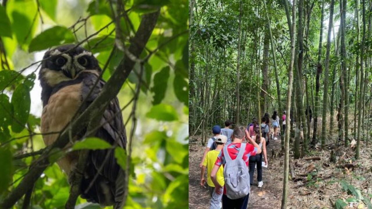 Atractivo turístico del Quindío