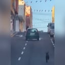 Instagram:@dani_bisshopp