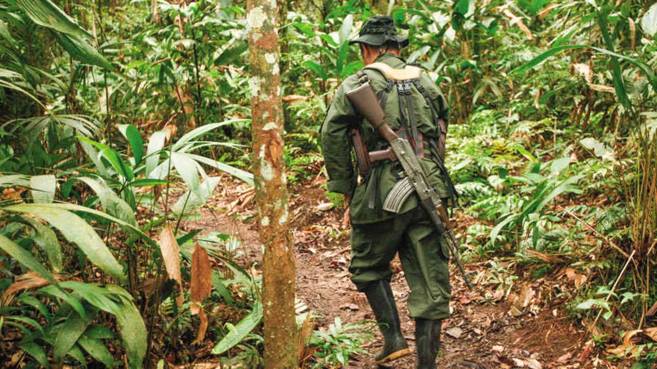 El exintegrante de las Farc operaba en el Catatumbo. Foto: archivo/Semana.