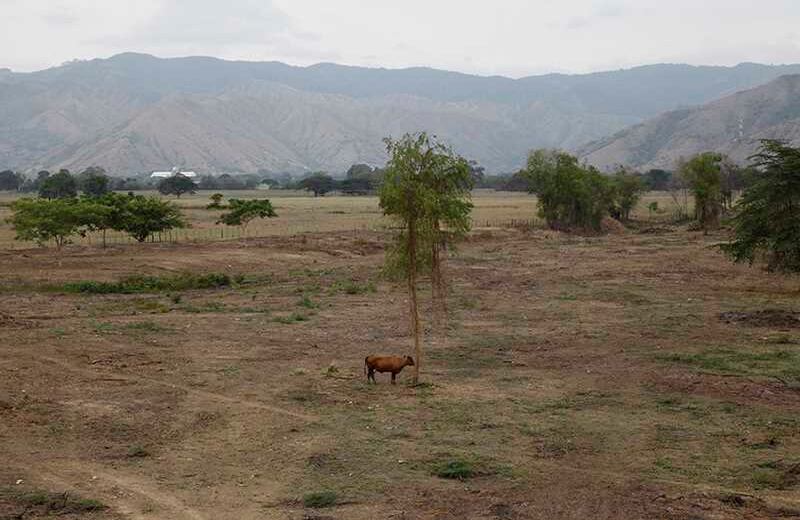 Laguna Sonso / Foto: Luis Ángel Murcia