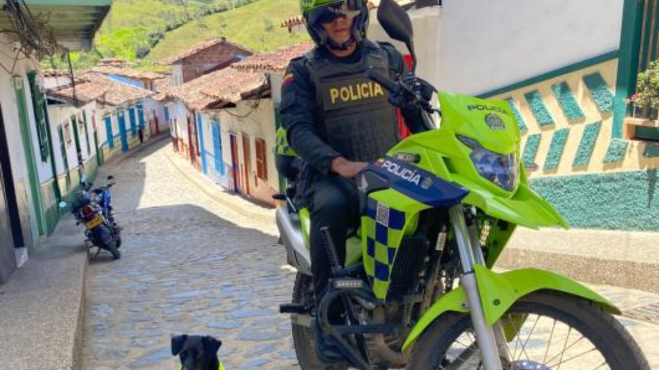 Barbas, el perrito policía que murió en Concepción, Antioquia.