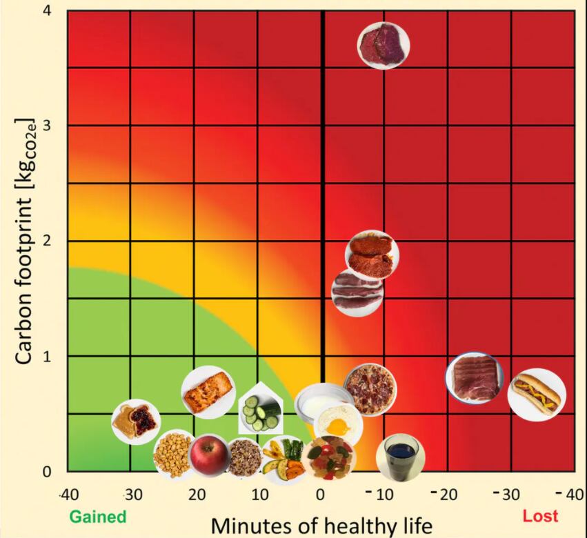las decisiones sobre qué comer afectan cuanto vive