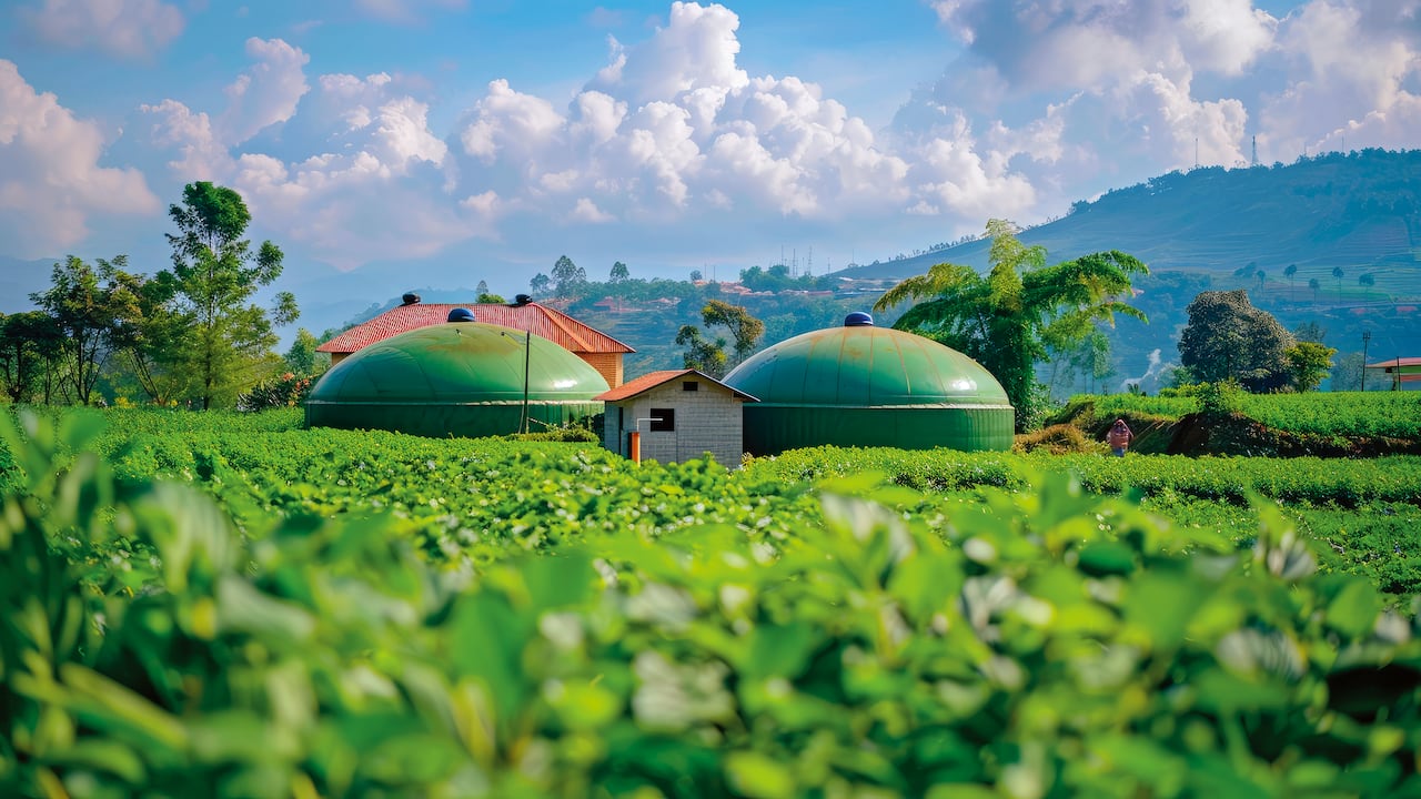 Edittorial Biodigestores en fincas, Semana Sostenible