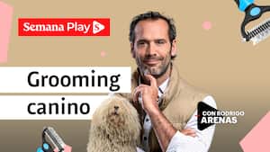 Grooming canino | Rodrigo Arenas en EduCANdo Manadas