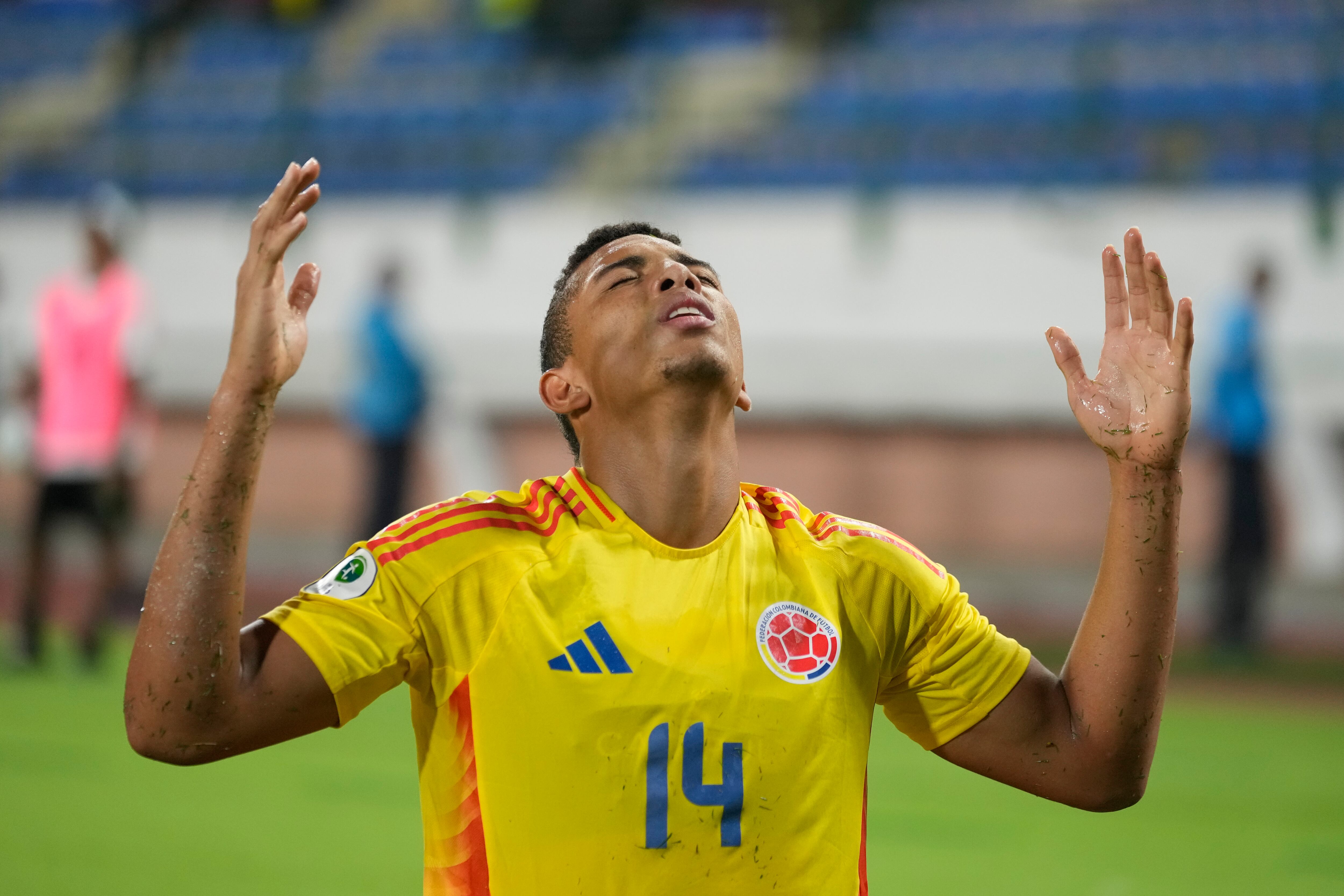 Alegría cafetera en Venezuela.