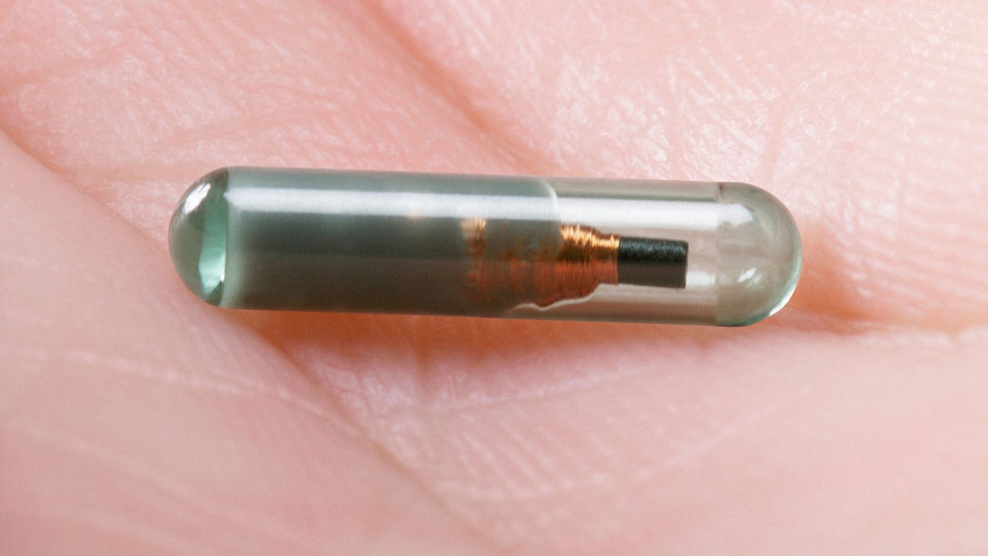 Algunos chips funcionan como medios de pago, sustituyendo tarjetas bancarias o dispositivos móviles.