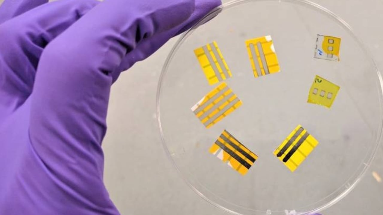 Según los expertos, este avance científico y tecnológico será útil para demostrar la viabilidad de los tatuajes lumínicos en diferentes contextos.