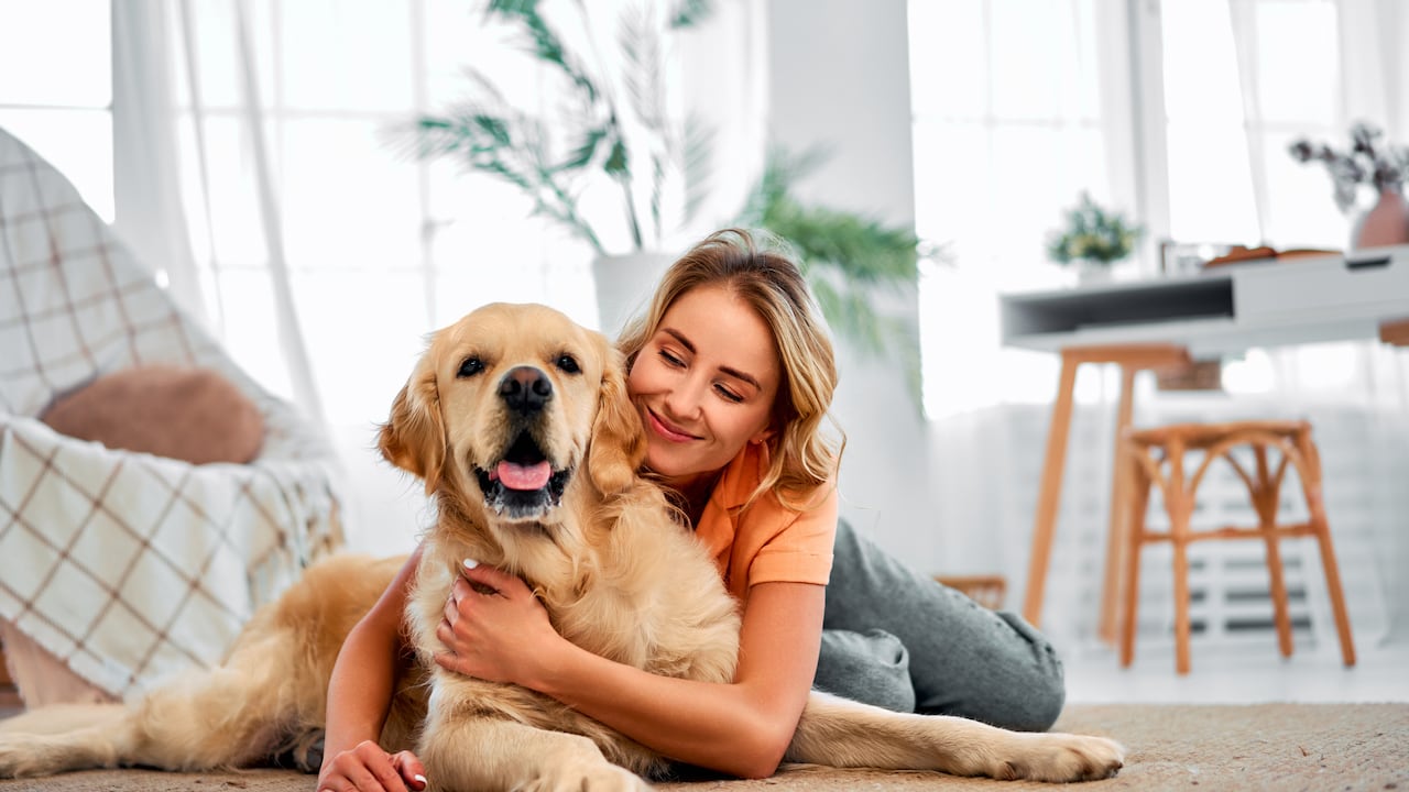 Hay perros que son ideales para quienes apenas empiezan con mascotas.