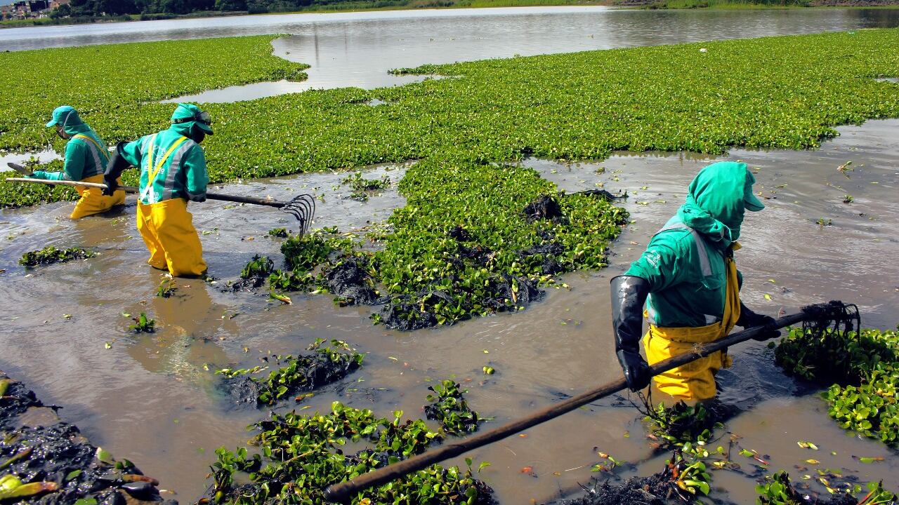 Andesco nominó a 30 empresas como finalistas de su premio de sostenibilidad 2021