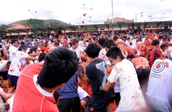 Tomates al aire, comienza la guerra. 