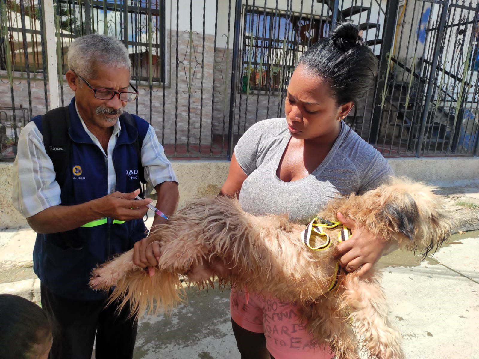 Jornada de vacunación canina y felina en Cartagena