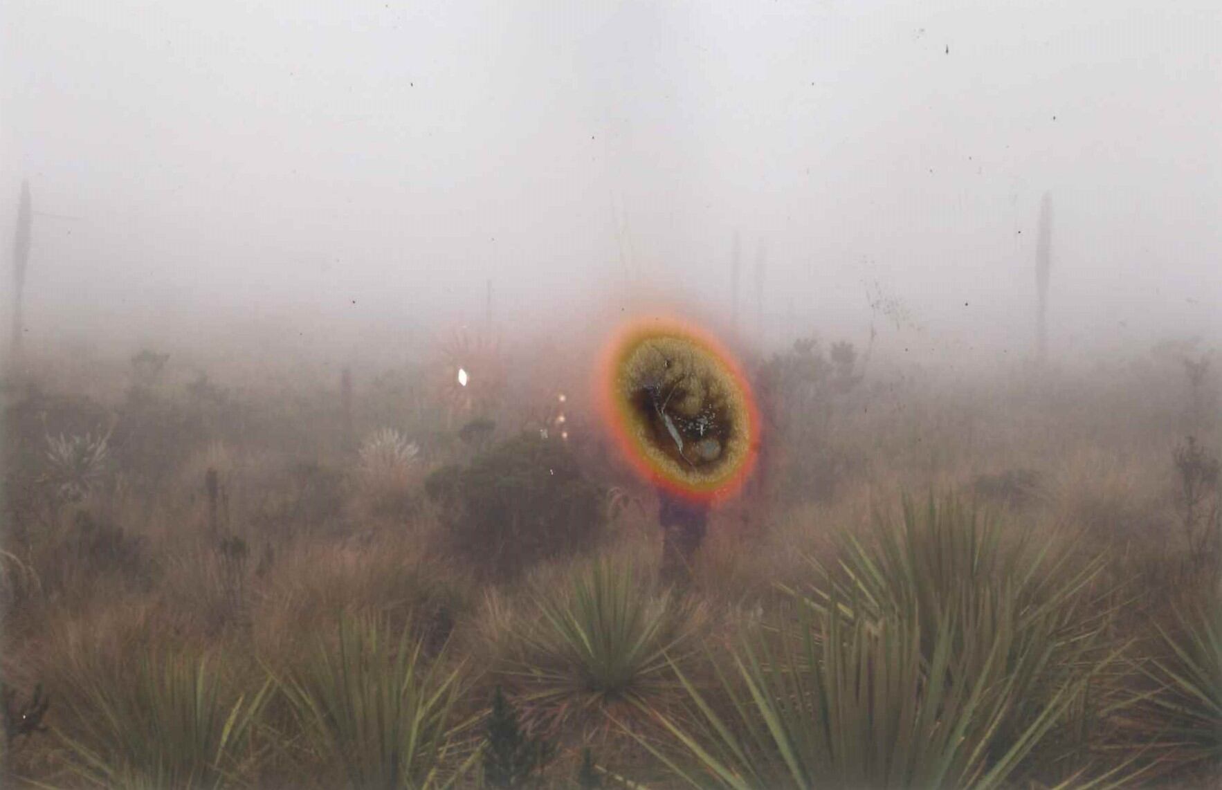 "Con este proyecto, y con la energía que tenía guardada por tantos años, las palabras y las imágenes dejaron de ser suficientes".