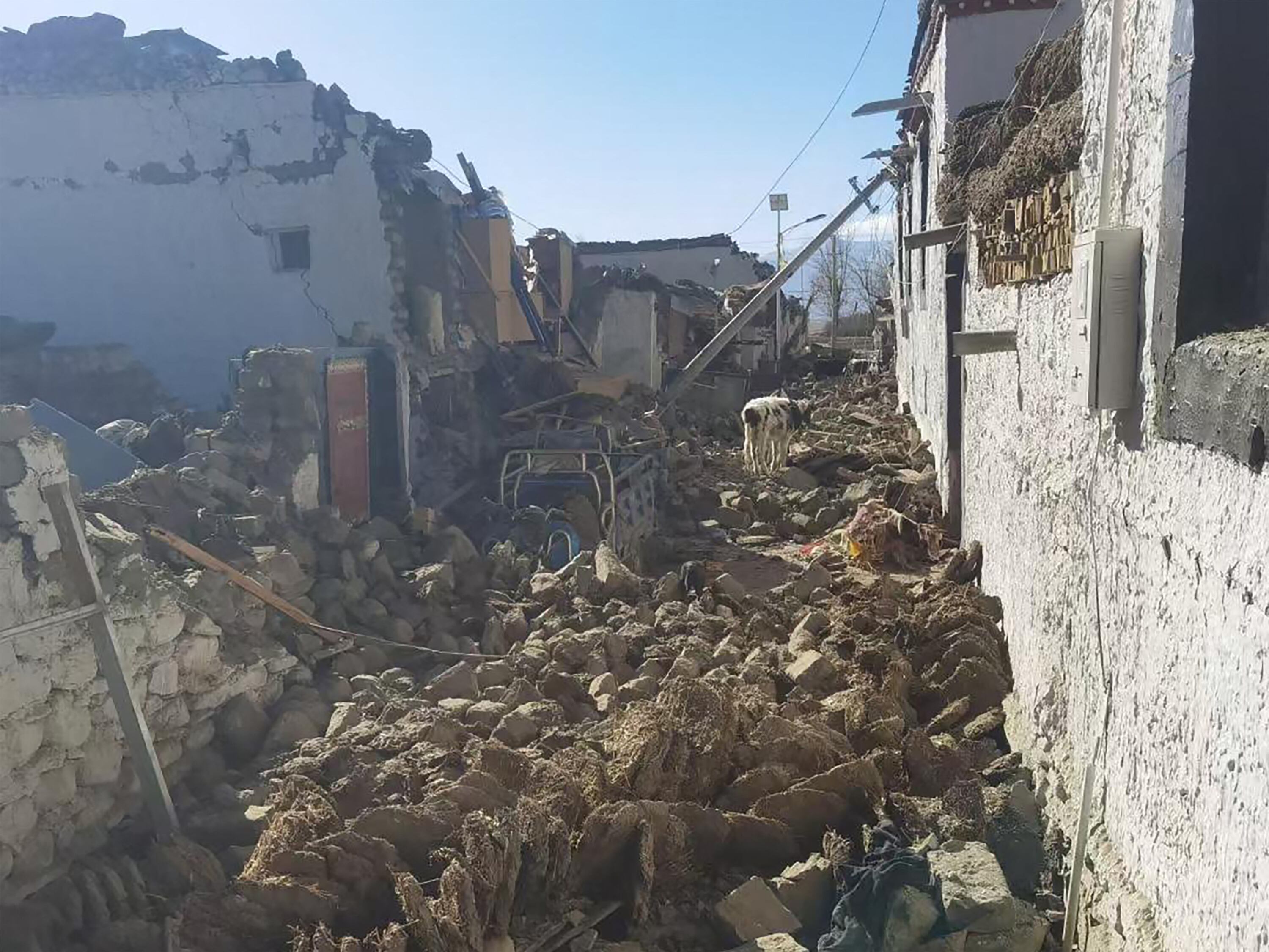 Este folleto recibido el 7 de enero de 2025 muestra casas dañadas en Shigatse, en la región del Tíbet, en el suroeste de China, después de que un terremoto azotara la zona. Un devastador terremoto en la remota región del Tíbet en China mató al menos a 53 personas y derrumbó "muchos edificios" el 7 de enero, informaron los medios estatales, y también se sintieron temblores en la vecina capital de Nepal, Katmandú, y en partes de la India. (Foto de Handout / AFP)