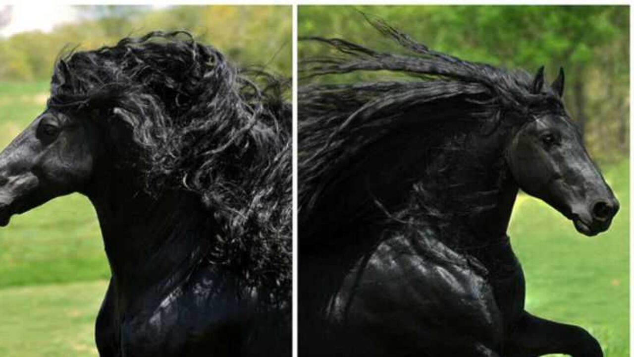 Foto: Cally Matherly