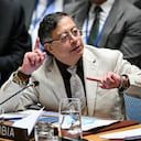 El nuevo revés se produjo a poco de que el presidente Petro interviniera durante una reunión del Consejo de Seguridad de las Naciones Unidas sobre Oriente Medio, en la sede de la ONU en Nueva York.