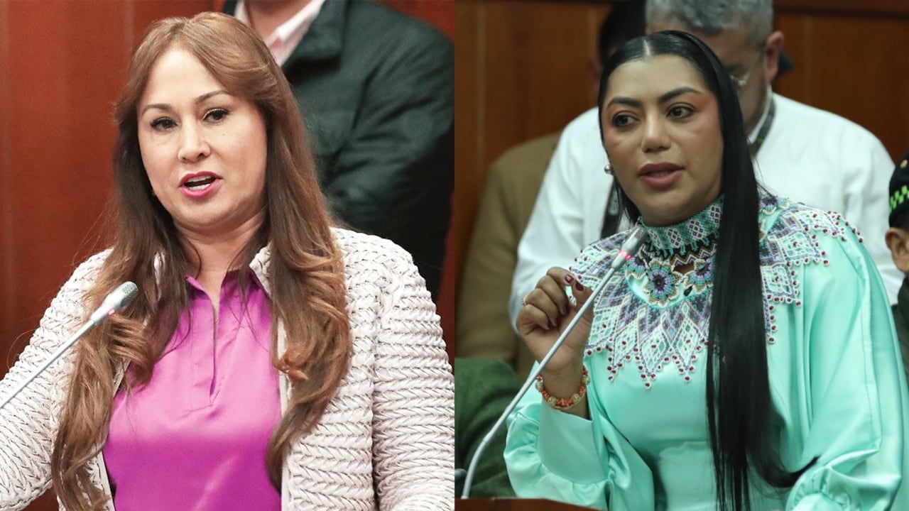 Las senadoras Berenice Bedoya y Martha Peralta.