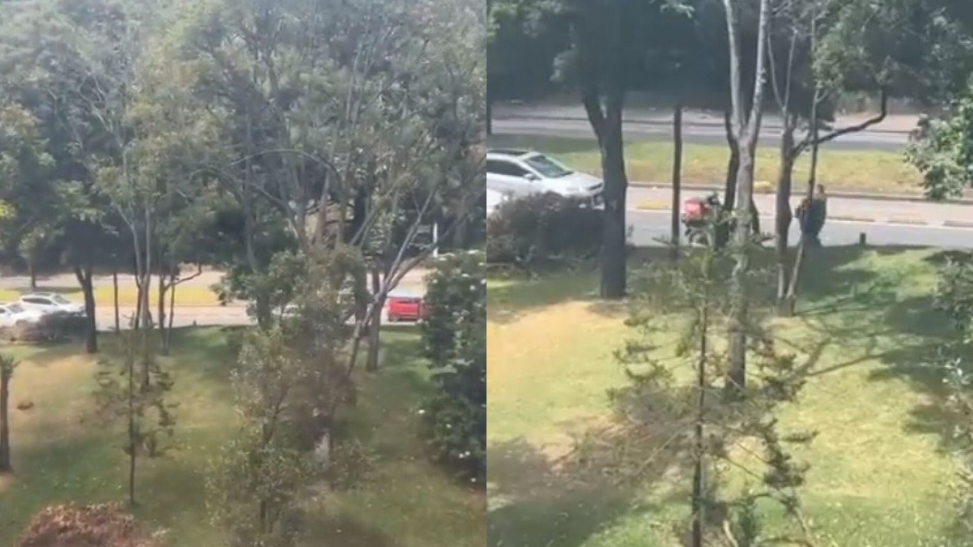 Los hechos han generado indicación en la ciudadanía.