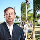 Presidente Gustavo Petro y palmeras en el malecón de Barranquilla.