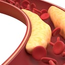 Triglicéridos altos: Estos son los síntomas que indican si los padece