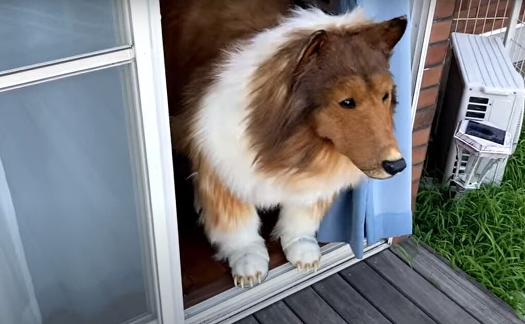 El youtuber que se convirtió en perro