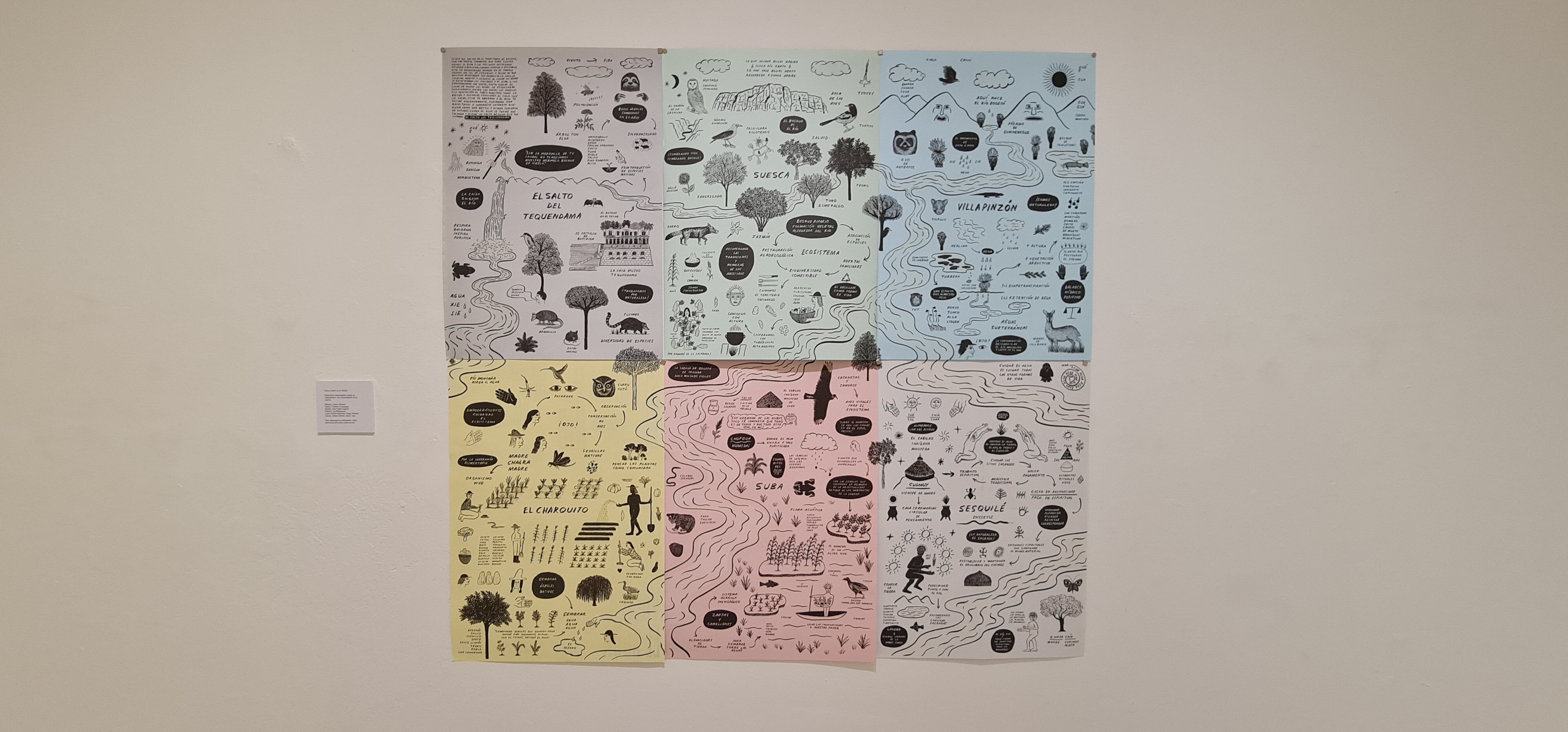 Cómo cuidar un río es una invitación a navegar por aguas, bosques, montañas, humedales, alimentos, memorias y sueños que componen y ensamblan la gran cuenca del río Bogotá. La publicación despliega encuentros con el río a través de las acciones de diversas iniciativas que lo cuidan, desde Villapinzón hasta el Salto del Tequendama. En su conjunto, muestra rutas para vivir y convivir con la cuenca desde la consciencia de que el río está vivo.