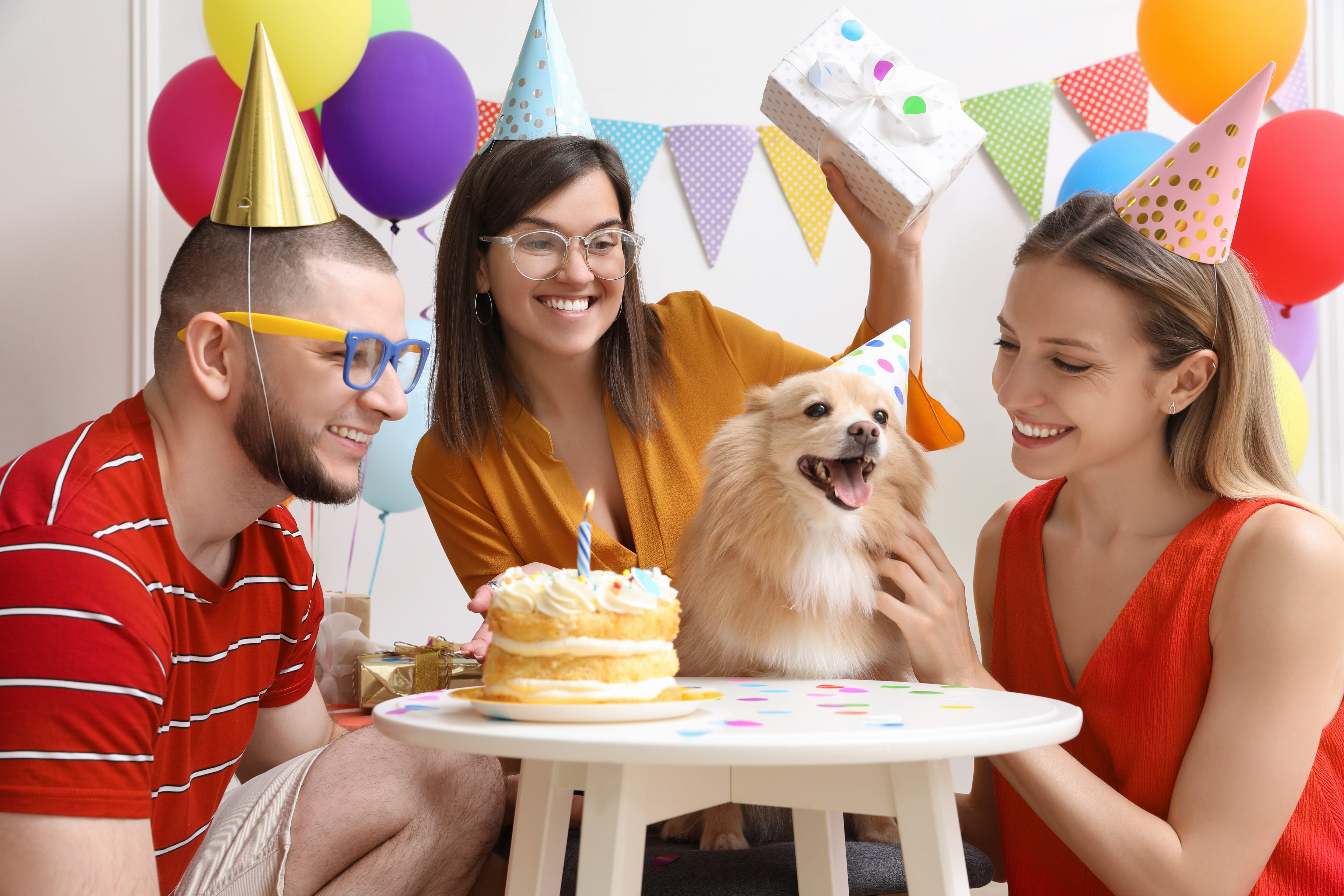 Celebración de fiesta de cumpleaños a un animal de compañía.