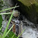 Las víctimas son Lelio Andrés Hoyos Giraldo y la joven Yadi Juliana Murillo Gutiérrez