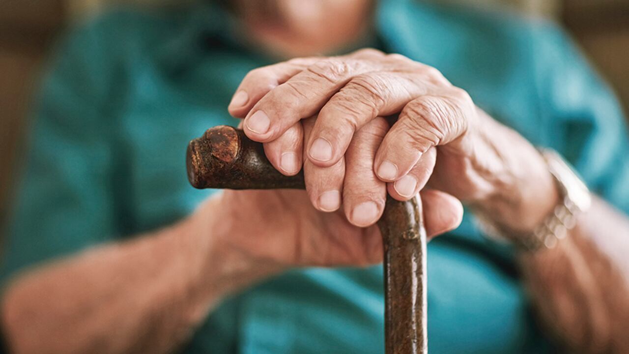 Corte Constitucional declara exequible ley que protege, promueve los derechos de los adultos mayores, además, sanciona aquellos que los vulneren.