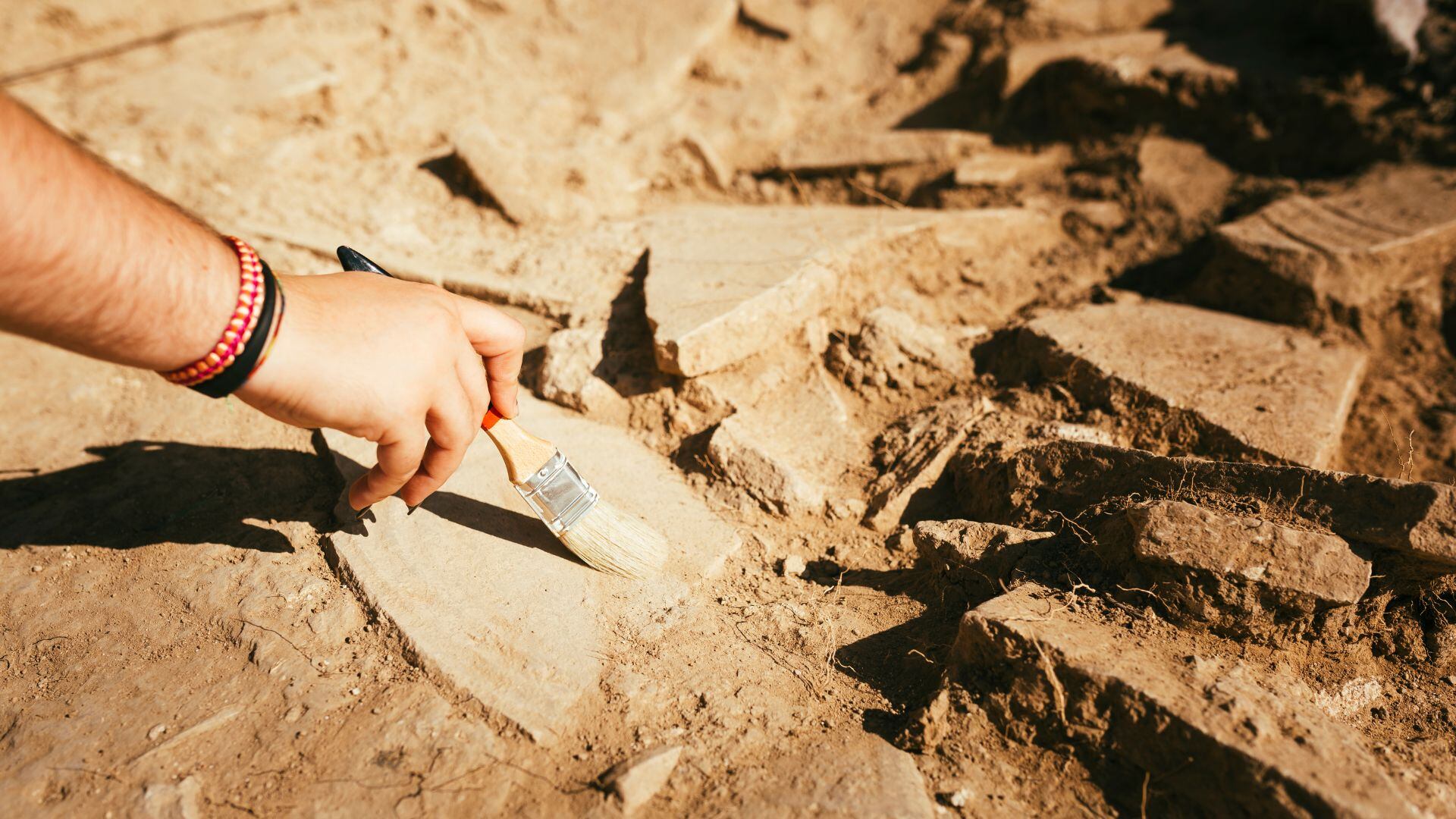 Confirman bipedalismo en antiguo ancestro humano.